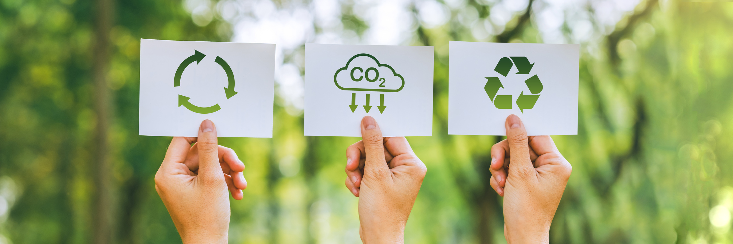 Developing sustainable CO2 Ideas for Sustainable development and green business based renewable energy and can limit climate change, climate, global warming An environmentally friendly approach